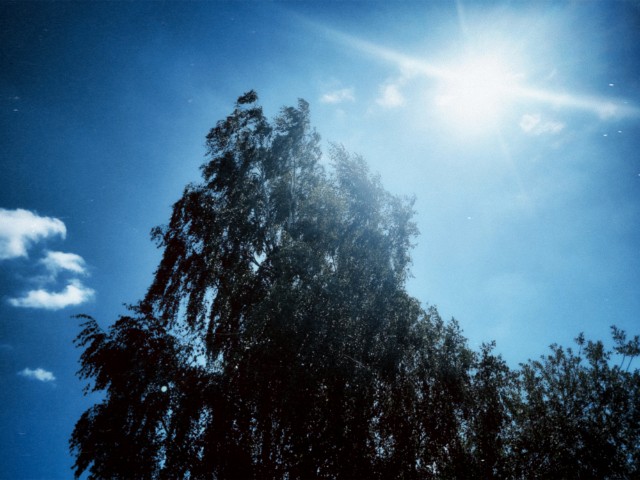 Really sunny today, although not that hot for June.